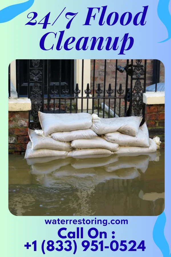 24/7 Flood Cleanup in Lake Seneca, OH