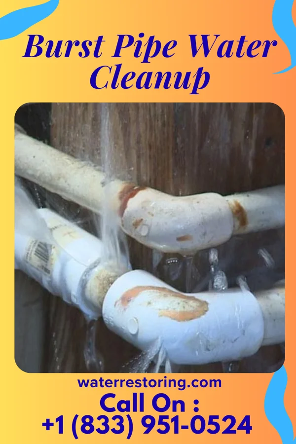 Burst Pipe Water Cleanup in Lake Seneca, OH