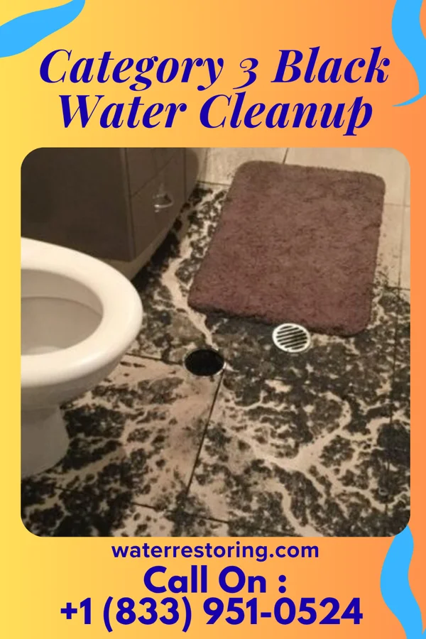 Category 3 Black Water Cleanup in Lake Seneca, OH