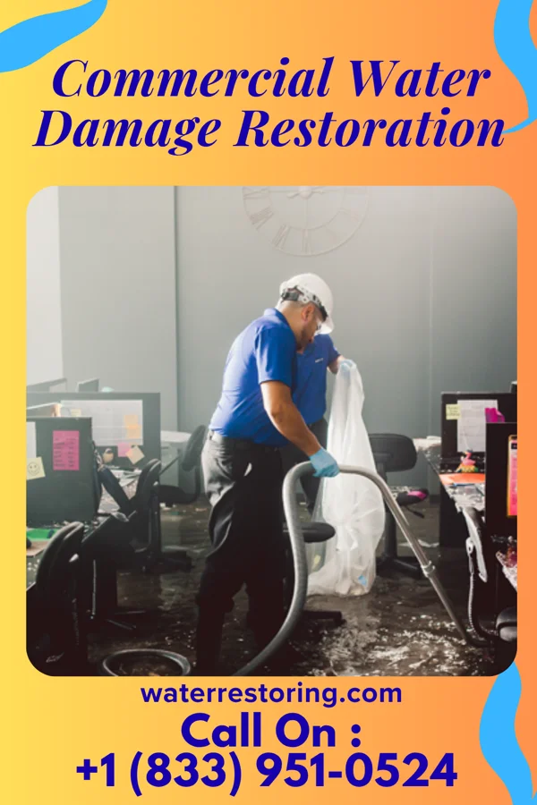 Commercial Water Damage Restoration in Lake Seneca, OH