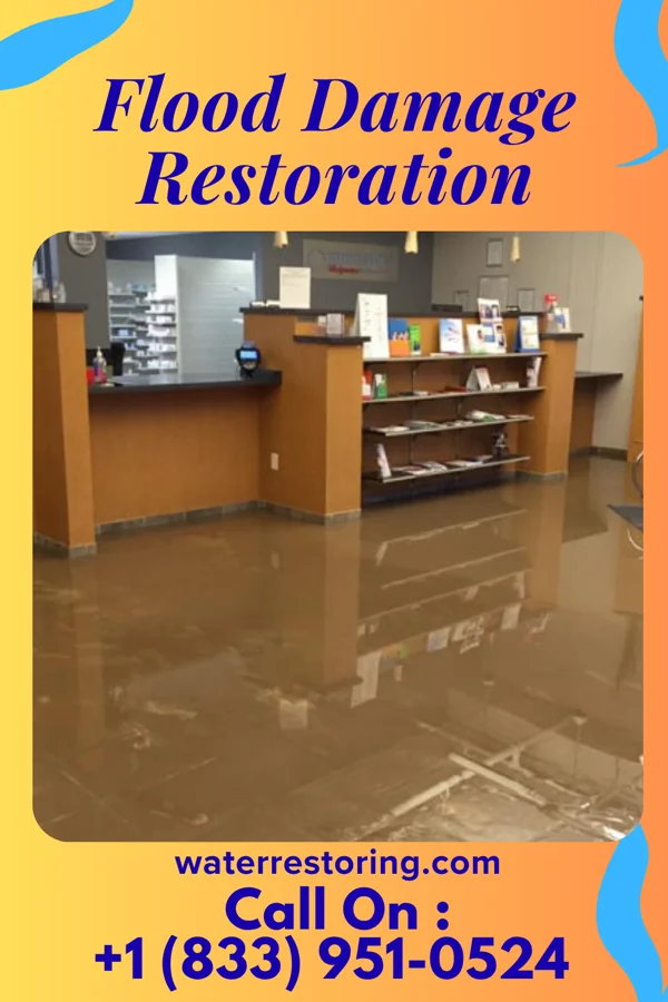 Flood Damage Restoration in Lake Seneca, OH