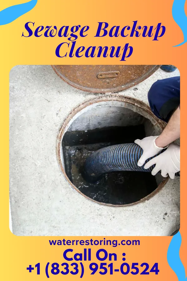 Sewage Backup Cleanup in Lake Seneca, OH