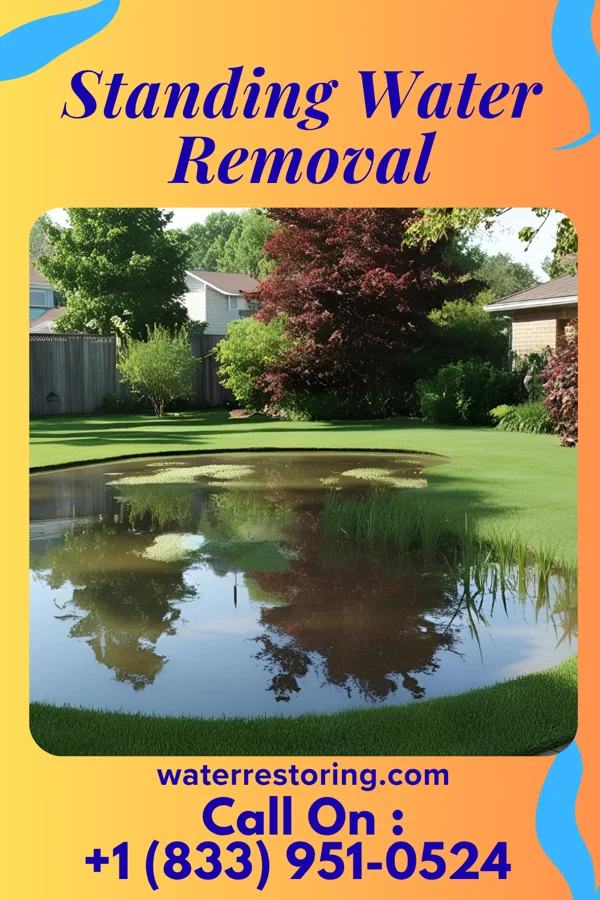 Standing Water Removal in Lake Seneca, OH